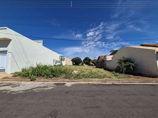 Foto do lote